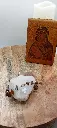 IMG_20241108_180241.webp